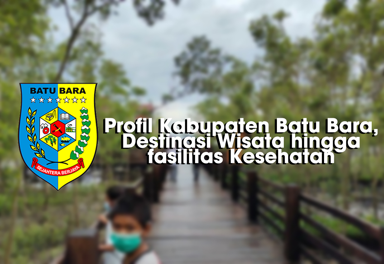 Website Resmi PAFI Cabang Kab. Batu Bara